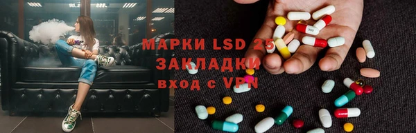 амф Богданович