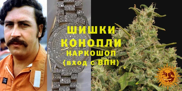 трава Бородино