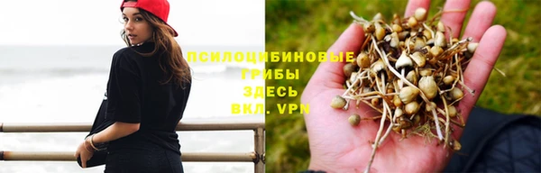 ПСИЛОЦИБИНОВЫЕ ГРИБЫ Бугульма