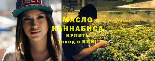 амф Богородск