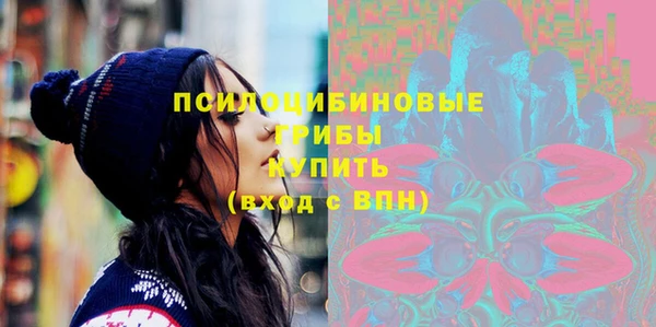 амф Богородск