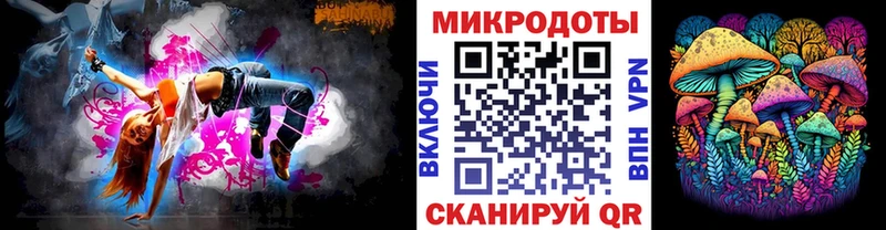 Купить где  Новохопёрск  Галлюциногенные грибы Psilocybine cubensis 